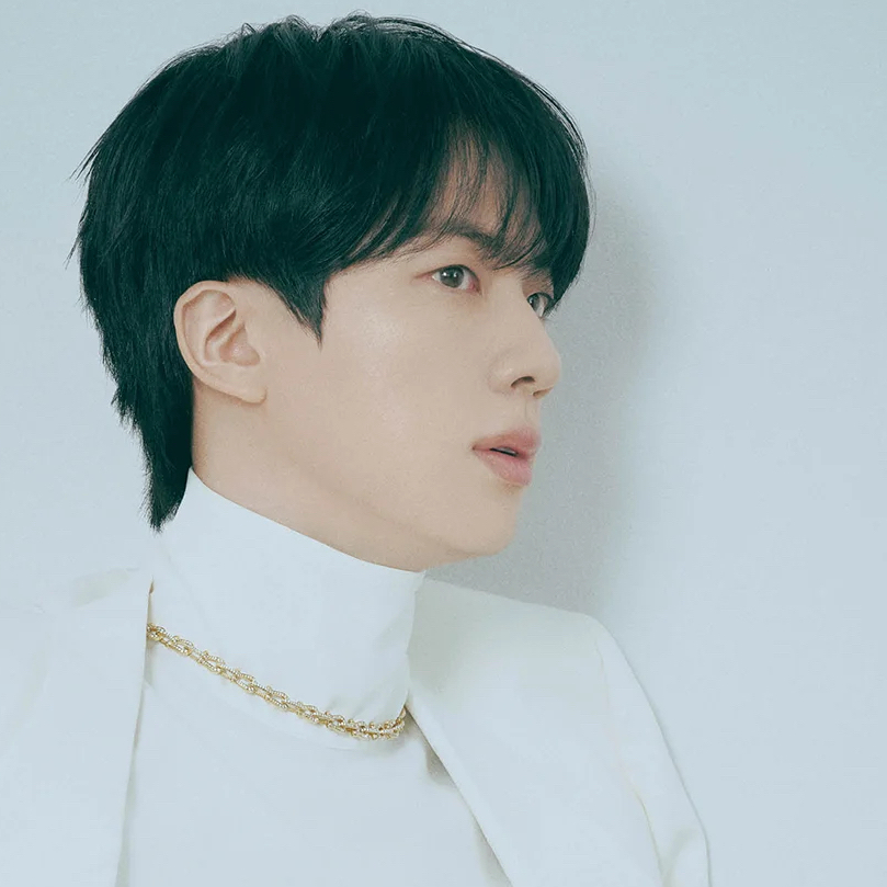 A moment captured by Jin (BTS)'s fan