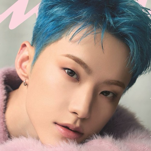 A moment captured by Hoshi (SEVENTEEN)'s fan