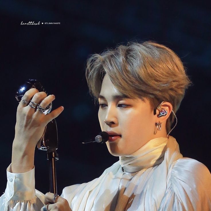 지민 (방탄소년단) 팬이 찍은 순간