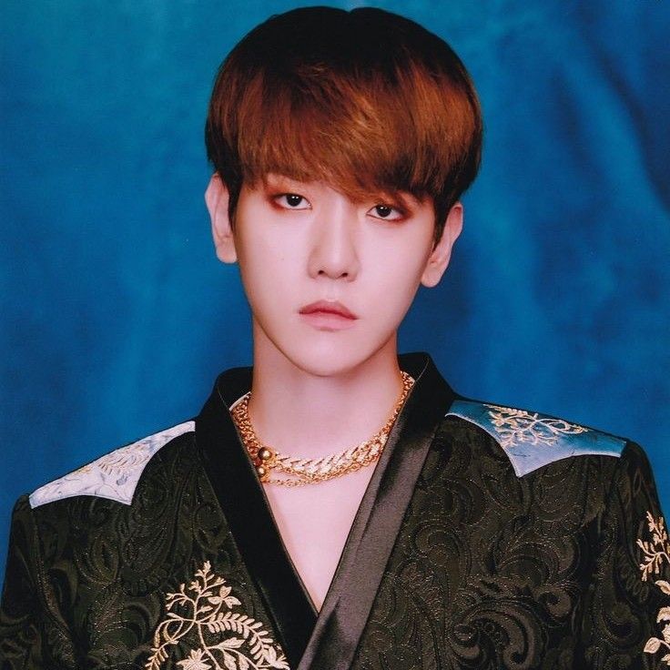 伯贤 (EXO)的最新照片