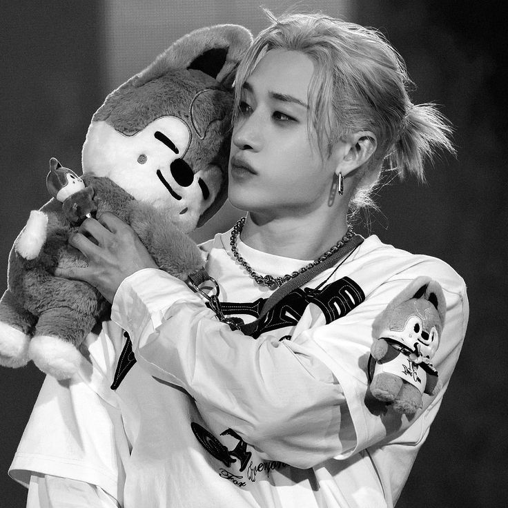 A moment captured by Bang Chan (Stray Kids)'s fan