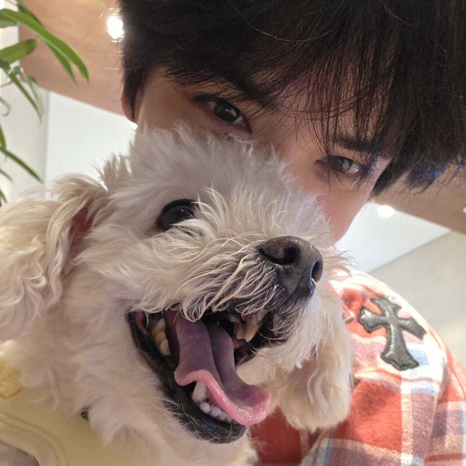Recent activity shot of Younghoon (THE BOYZ)
