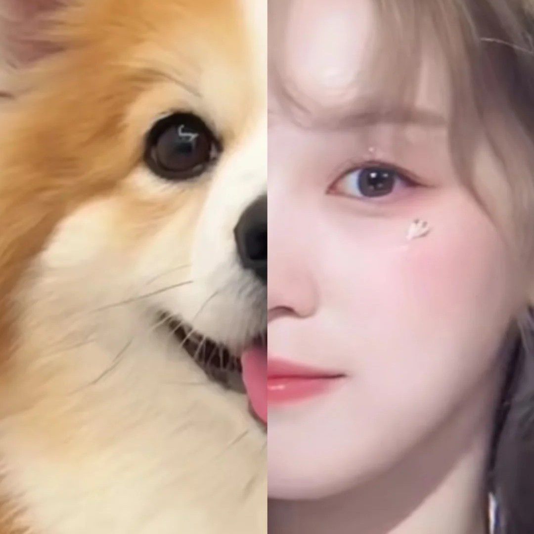 Latest photo of Yuqi (i-dle)