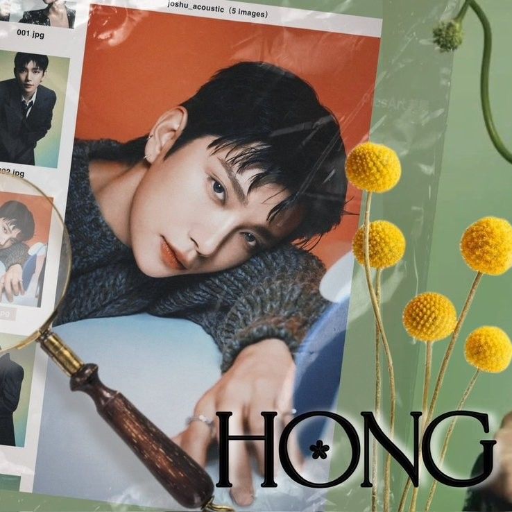 Recent activity shot of Joshua (SEVENTEEN)