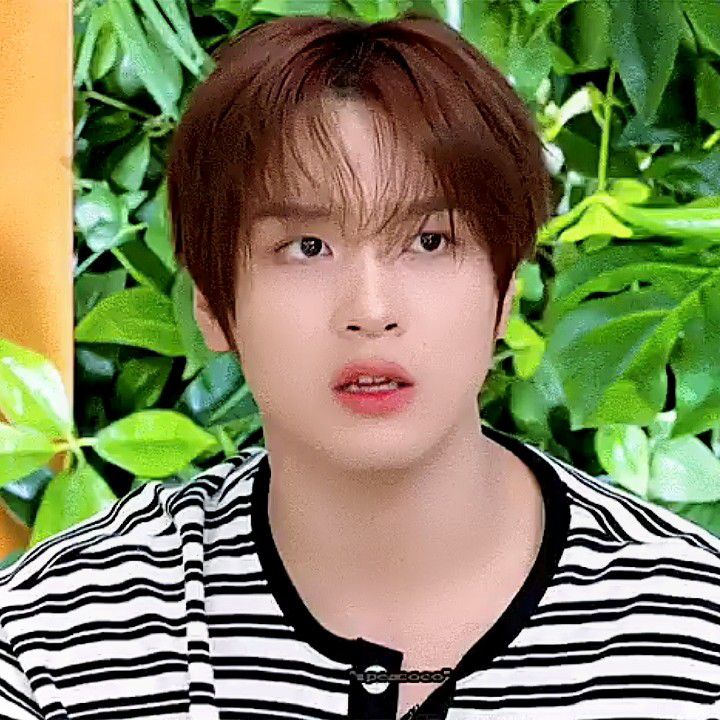 楷灿 (NCT 127, NCT DREAM)的幕后花絮