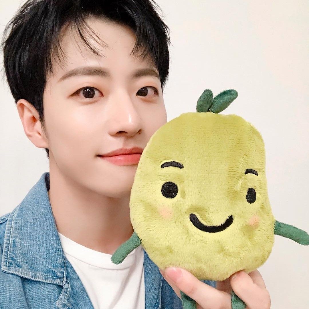 Recent activity shot of Feeldog