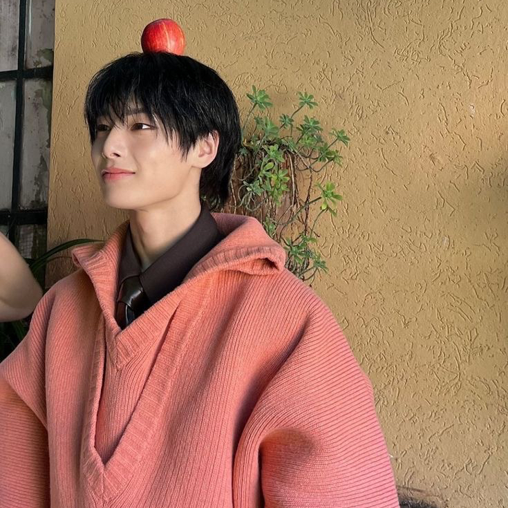 A moment captured by I.N (Stray Kids)'s fan
