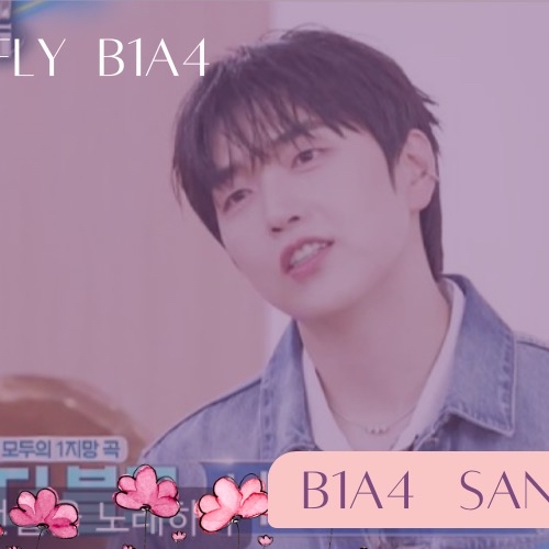 A moment captured by Sandeul (B1A4)'s fan