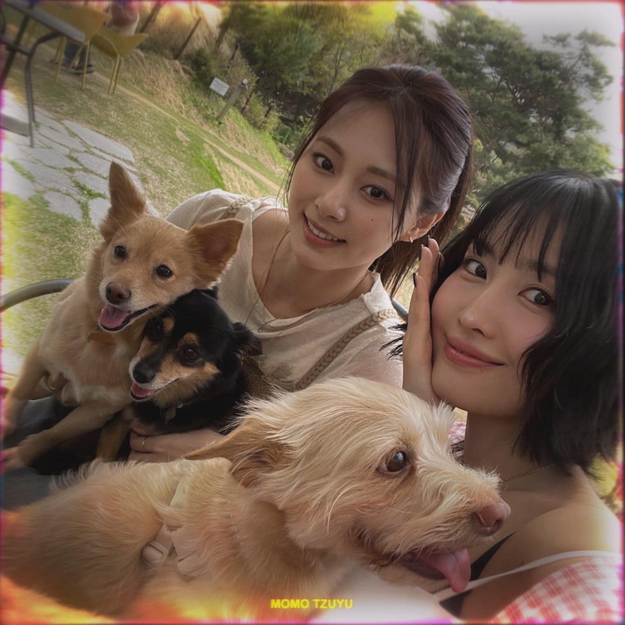 Latest photo of Momo (TWICE)