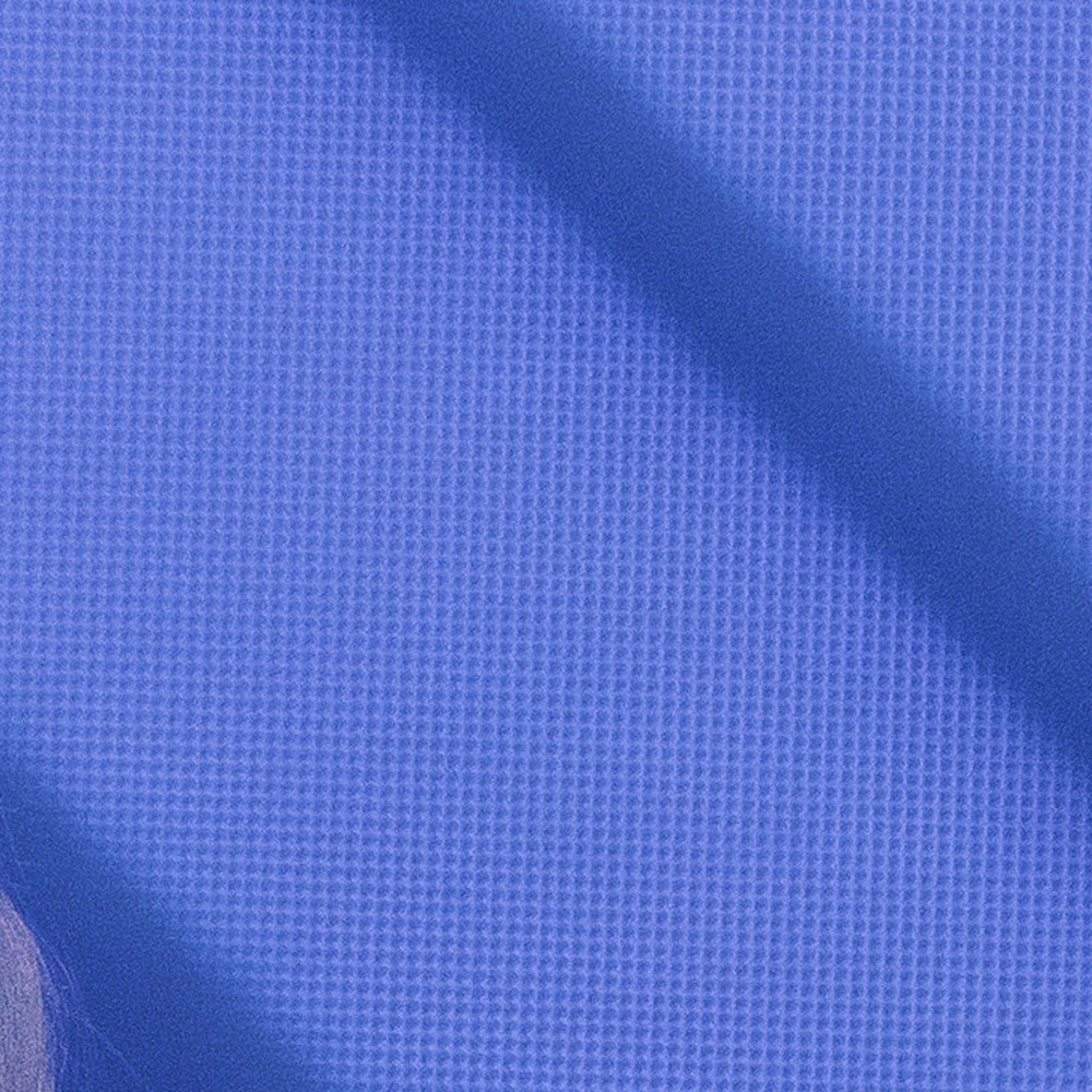 夏瑟 (ARTMS)的最新活動照片