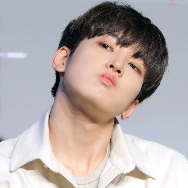Recent activity shot of Wonwoo (SEVENTEEN)