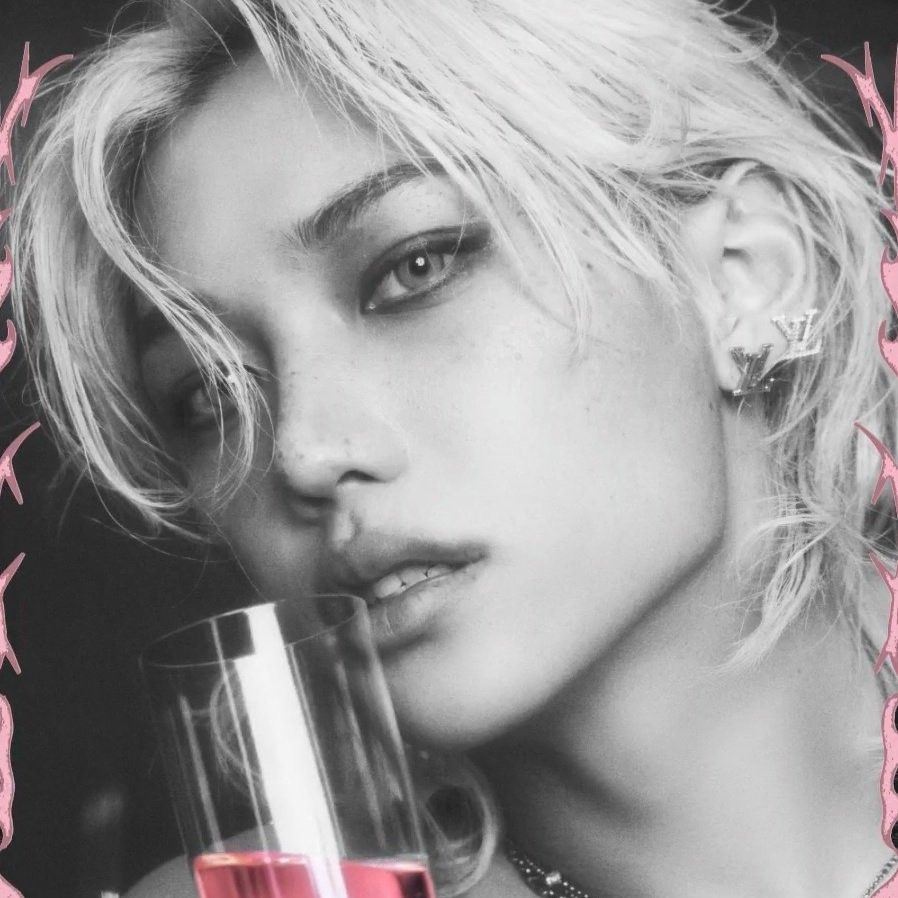 Stray Kids 팬이 찍은 순간