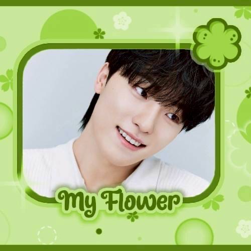 Latest photo of Dino (SEVENTEEN)