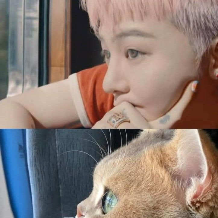 Latest photo of G-DRAGON (BIGBANG)