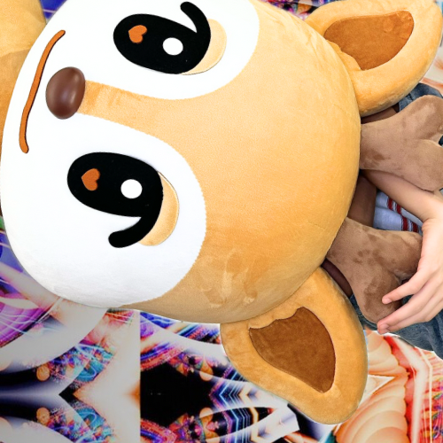 Latest photo of Seita (NEXZ)