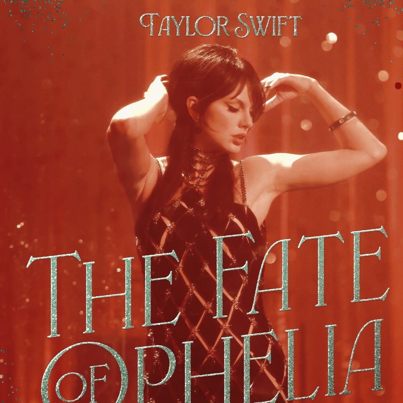 A moment captured by Taylor Swift's fan