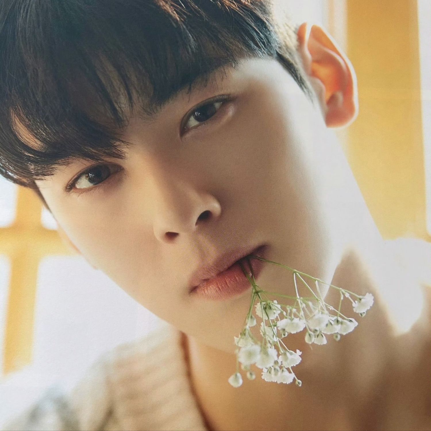 Recent activity shot of Eunwoo (ASTRO)