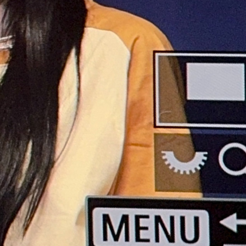 Recent activity shot of Choerry (ARTMS)