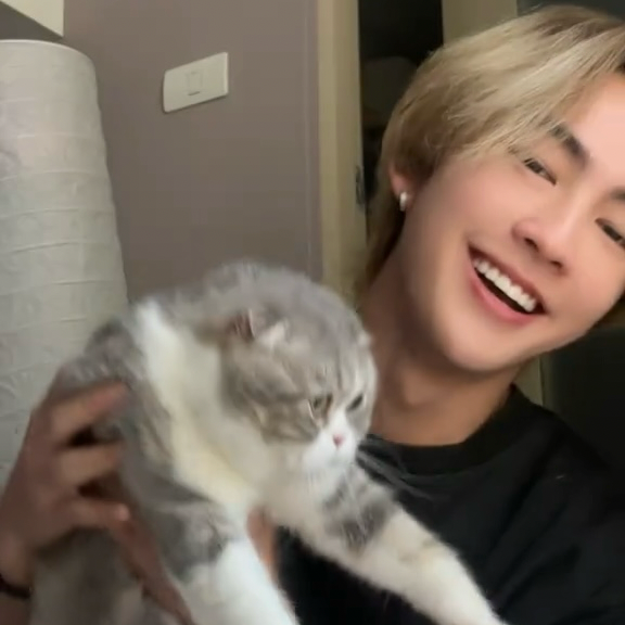 Recent activity shot of Heart (BUS)