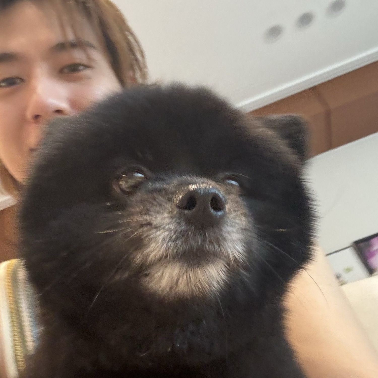 Latest photo of Yugyeom (GOT7)
