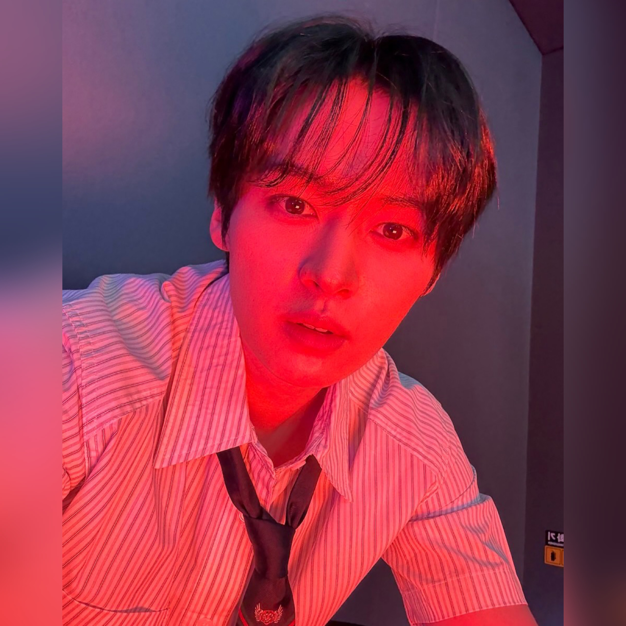 Lee Know (Stray Kids)的最新照片