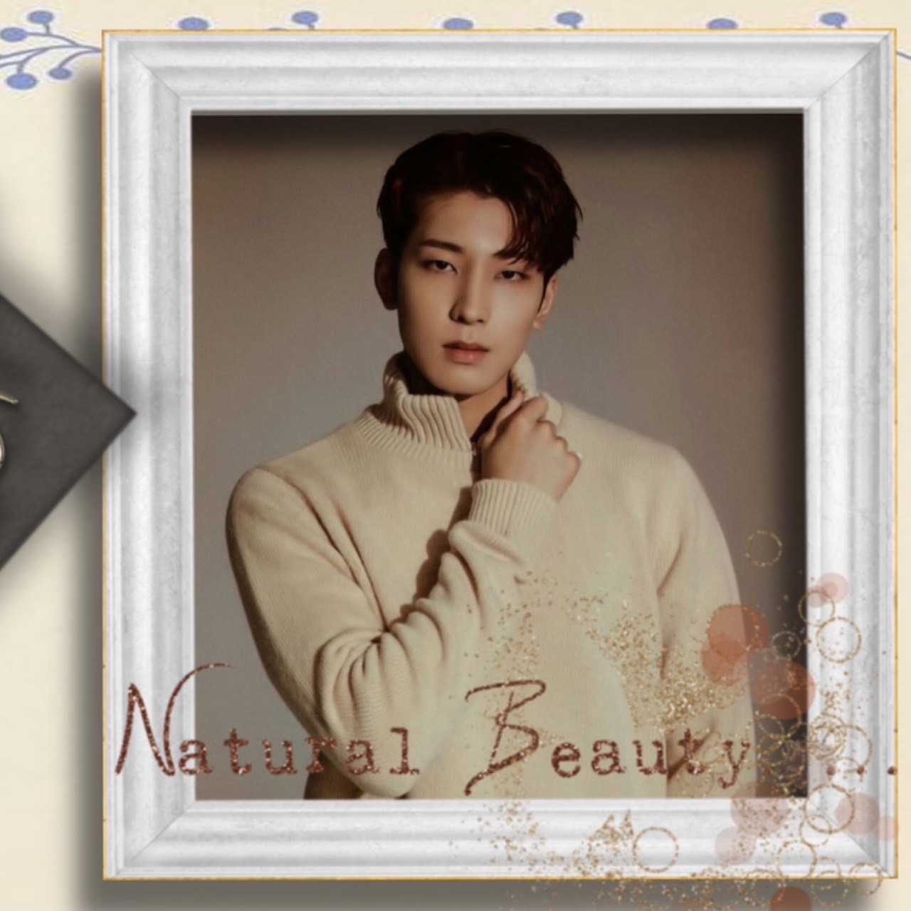 원우 (세븐틴) 팬이 찍은 순간