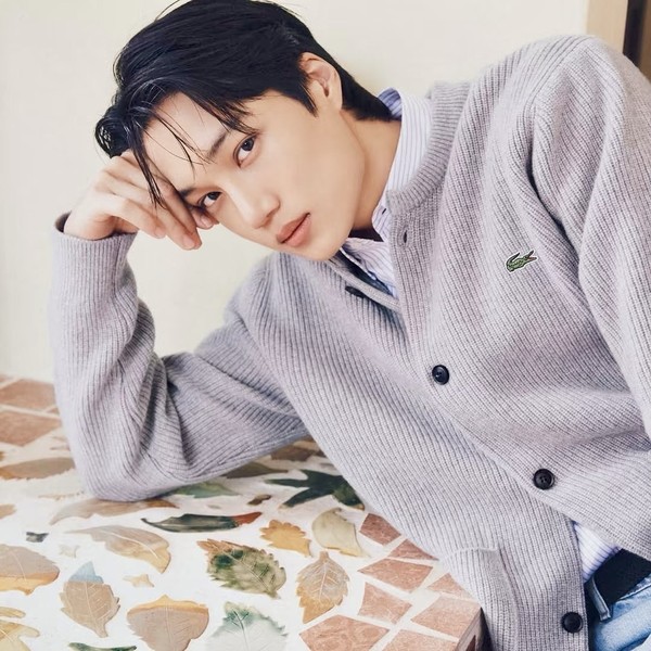 EXOEXSIT韓国特典アクキーKAI EXOEXSIT韓国特典アクキーKAI
