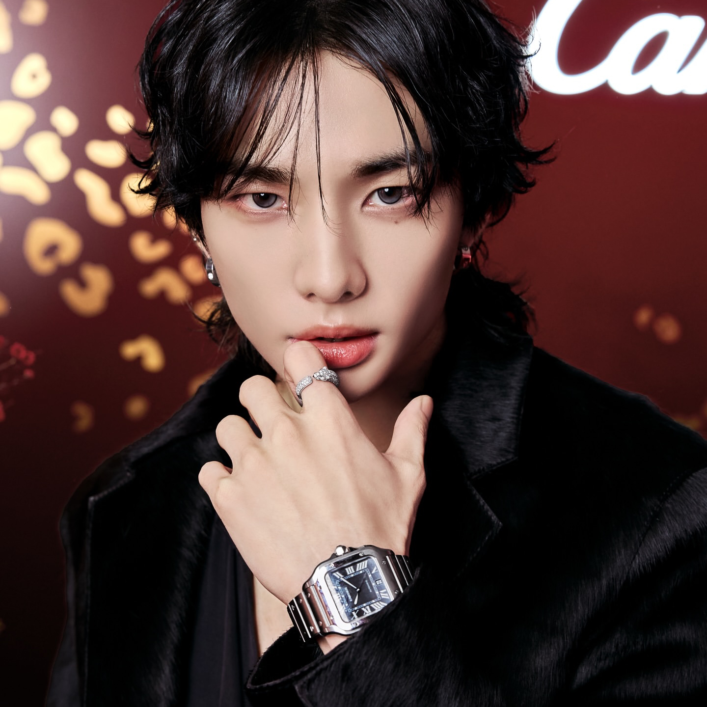 A moment captured by Hyunjin (Stray Kids)'s fan