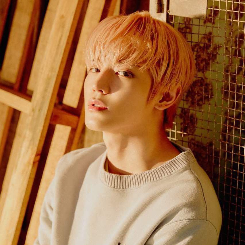 Recent activity shot of NCT