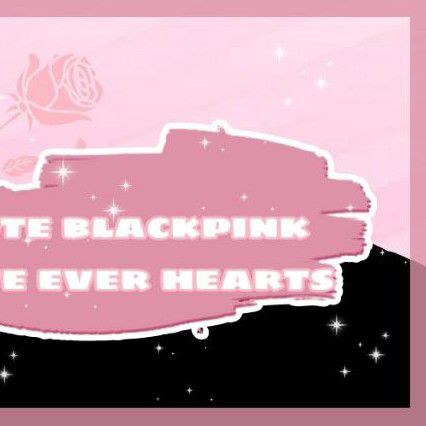 A moment captured by BLACKPINK's fan