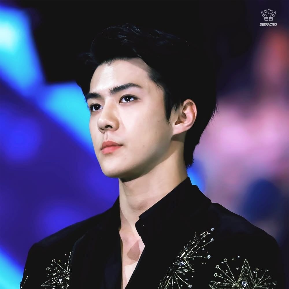 세훈 (EXO) 최근 활동샷