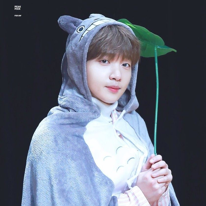 郑世云粉丝拍下的瞬间