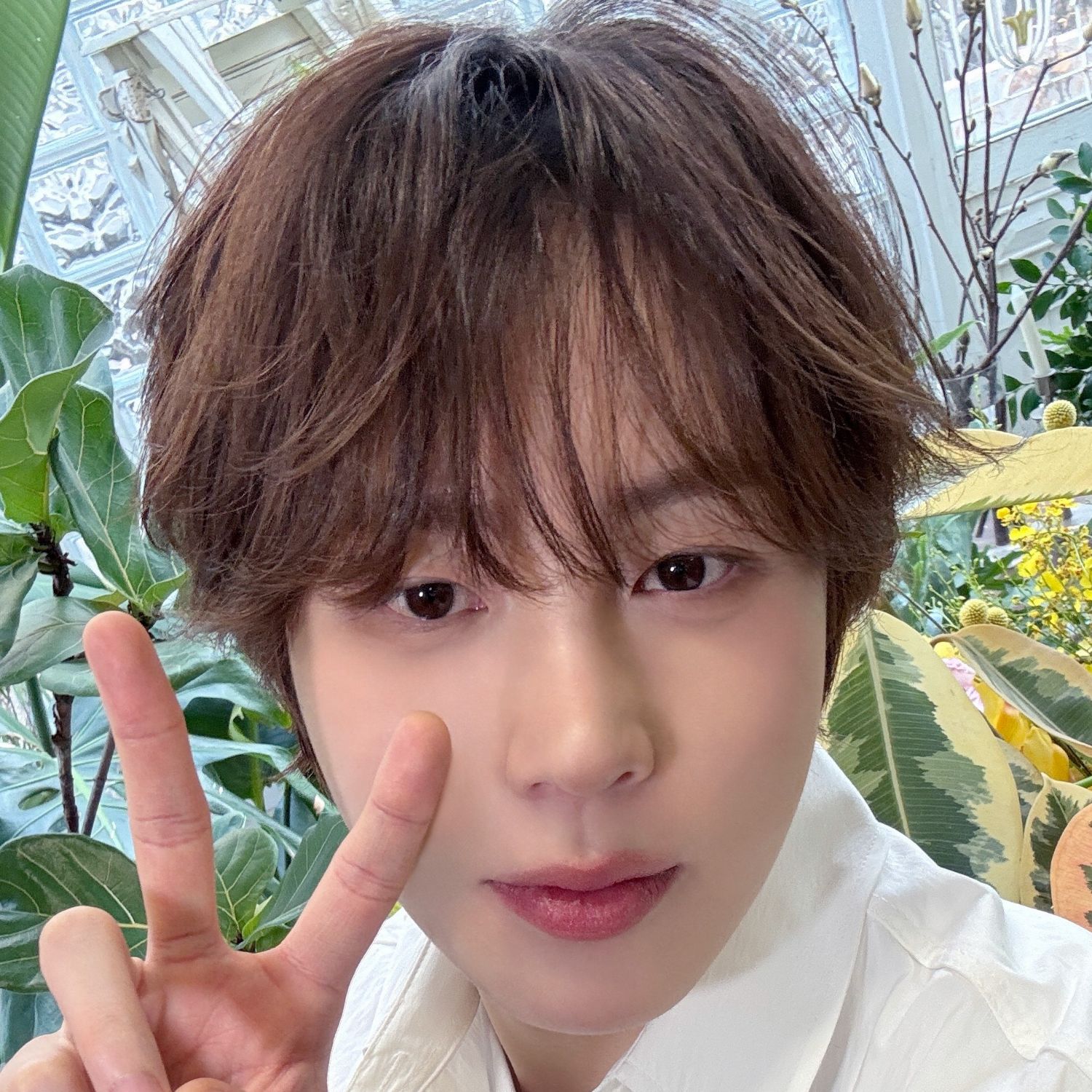 A moment captured by Ha Sungwoon's fan