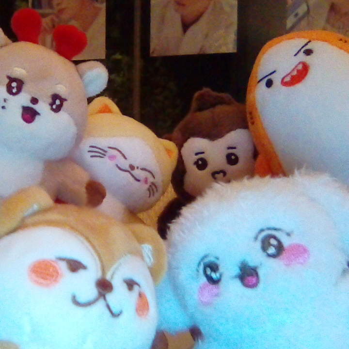 Latest photo of ONF