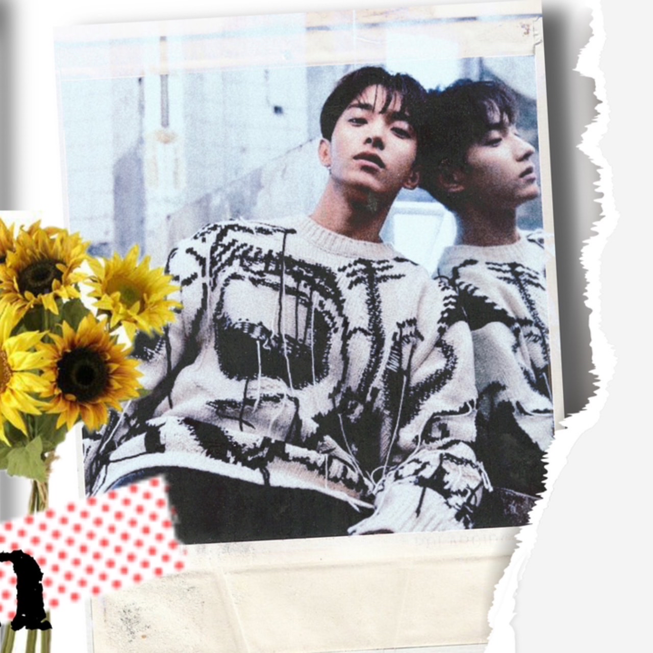 A moment captured by DK (SEVENTEEN)'s fan