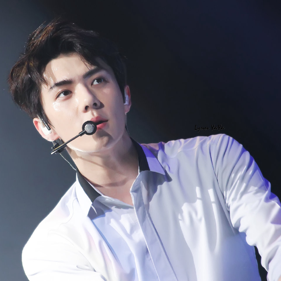 세훈 (EXO) 최근 활동샷