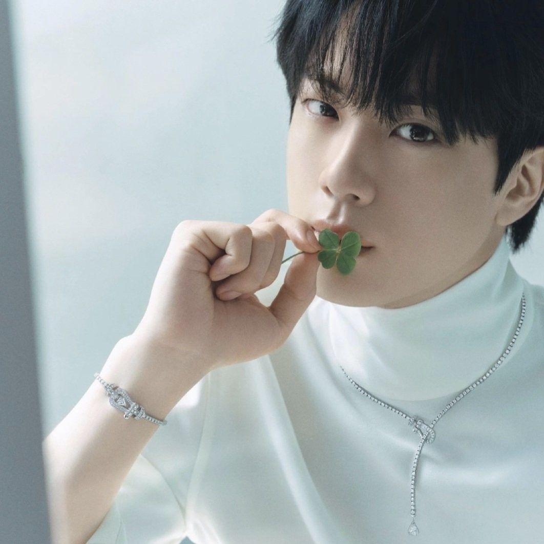 진 (방탄소년단) 팬이 찍은 순간