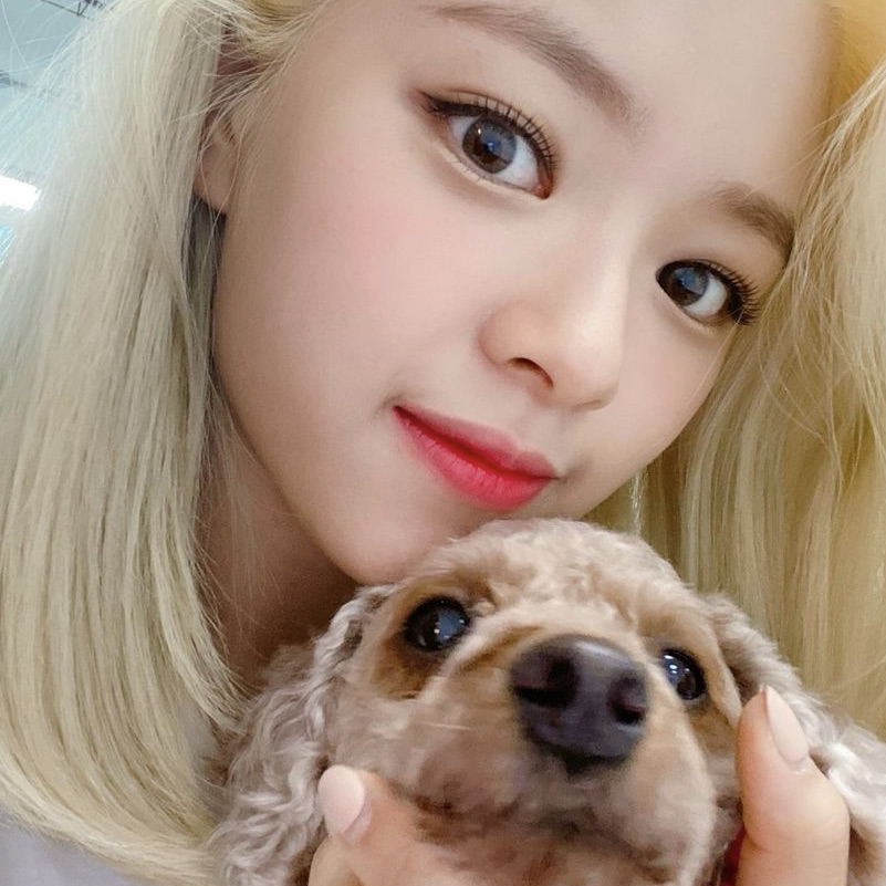Recent activity shot of Jeongyeon (TWICE)