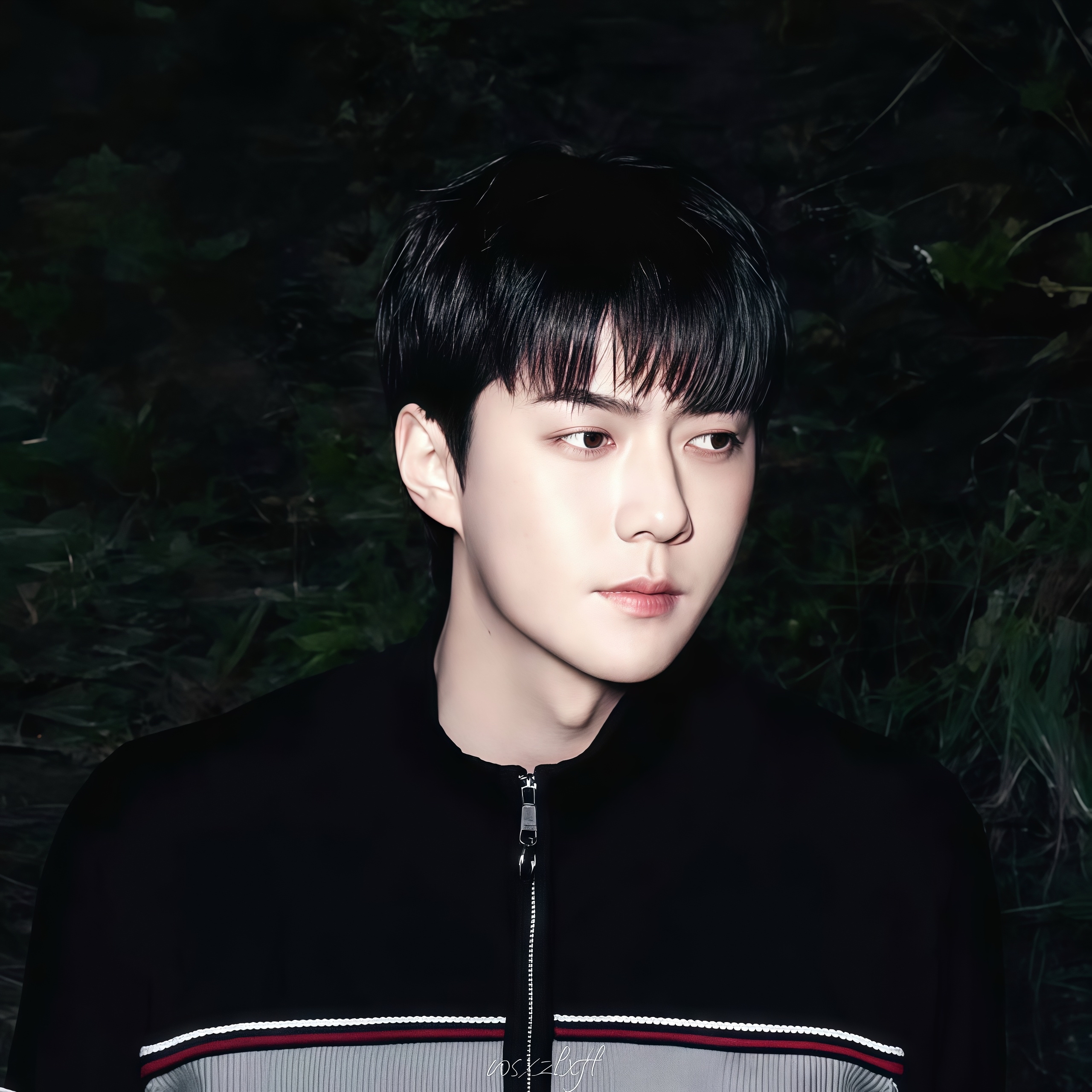 세훈 (EXO) 최근 활동샷