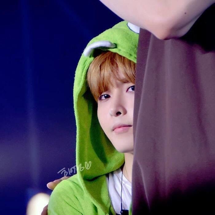 A moment captured by Super Junior's fan