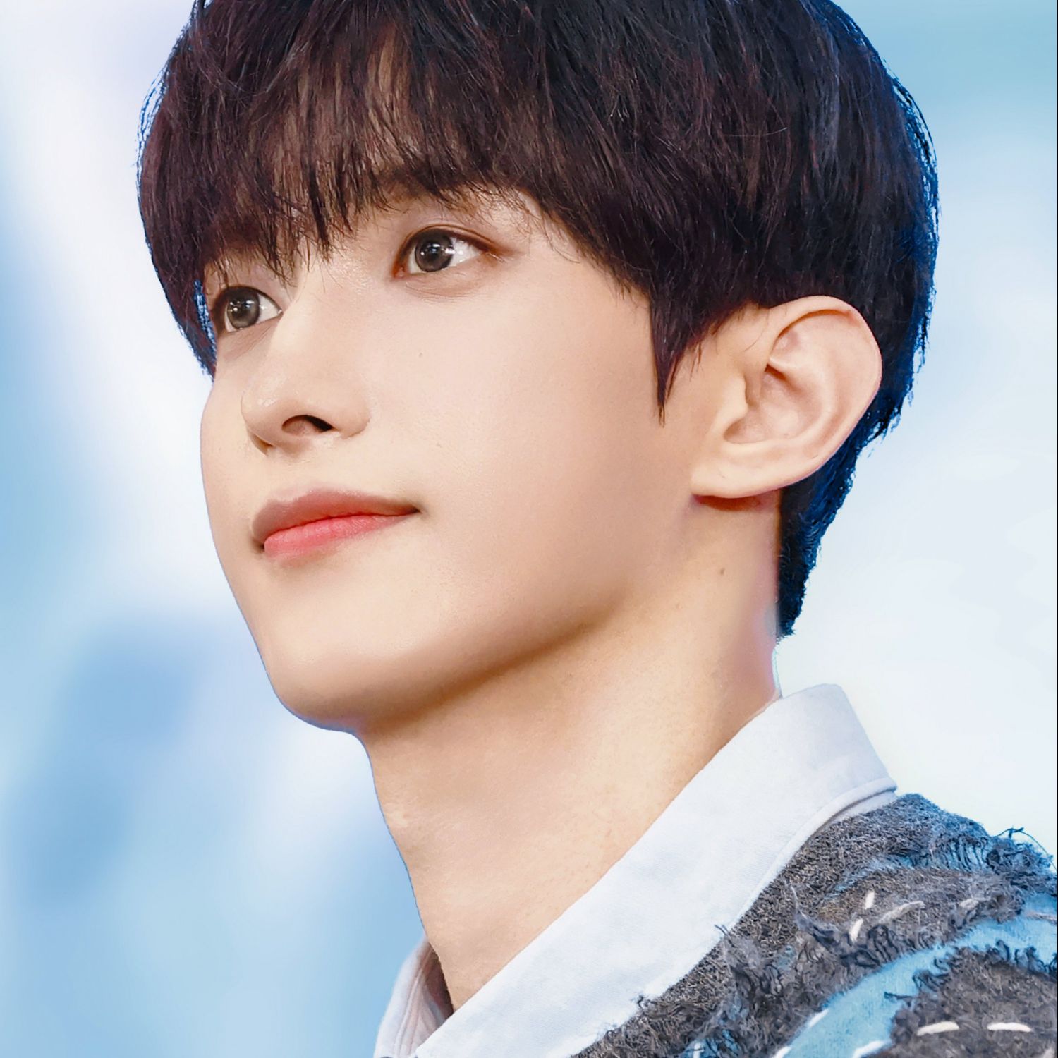 A moment captured by SEVENTEEN's fan