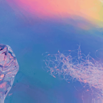 슈퍼주니어 팬이 찍은 순간