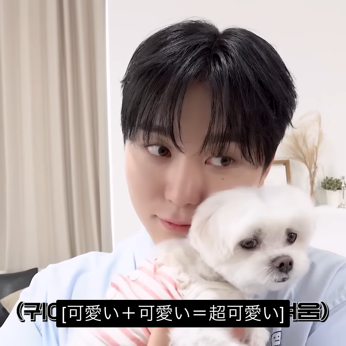Recent activity shot of Seungkwan (SEVENTEEN)