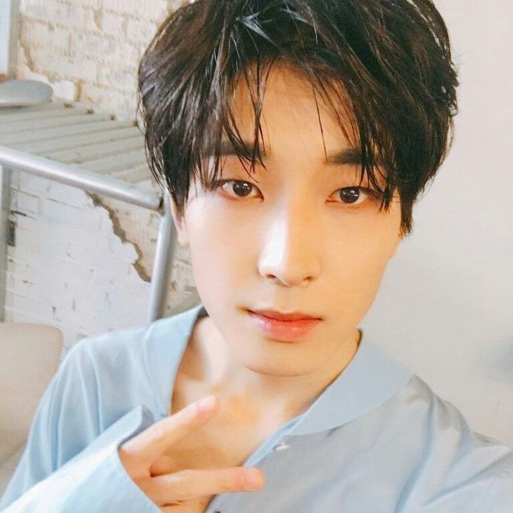 Recent activity shot of Wonwoo (SEVENTEEN)