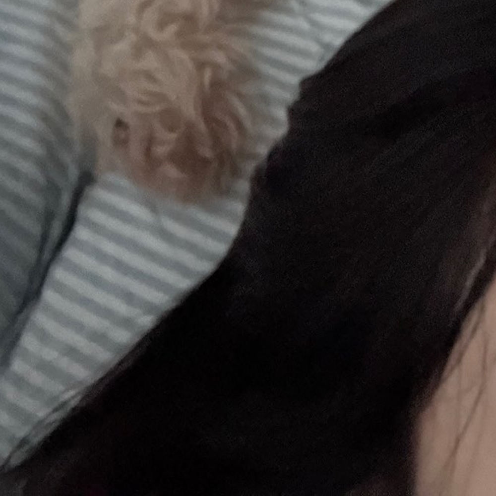 Latest photo of Go Won (Loossemble)