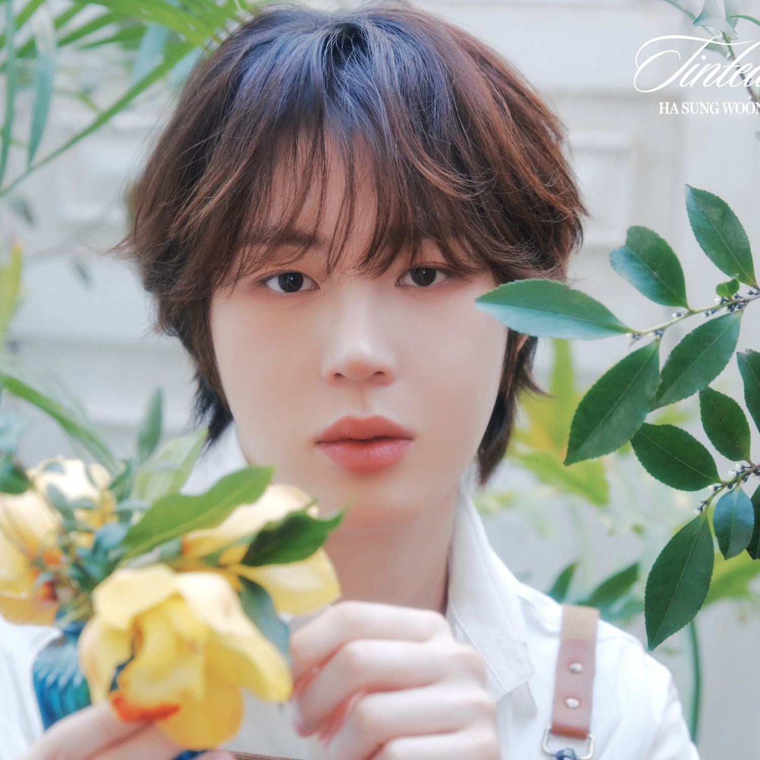 Recent activity shot of Ha Sungwoon