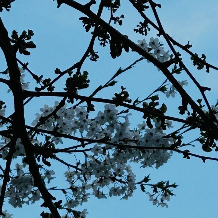 EXOの舞台裏ショット