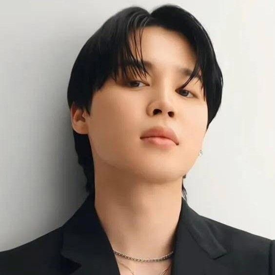 A moment captured by Jimin (BTS)'s fan