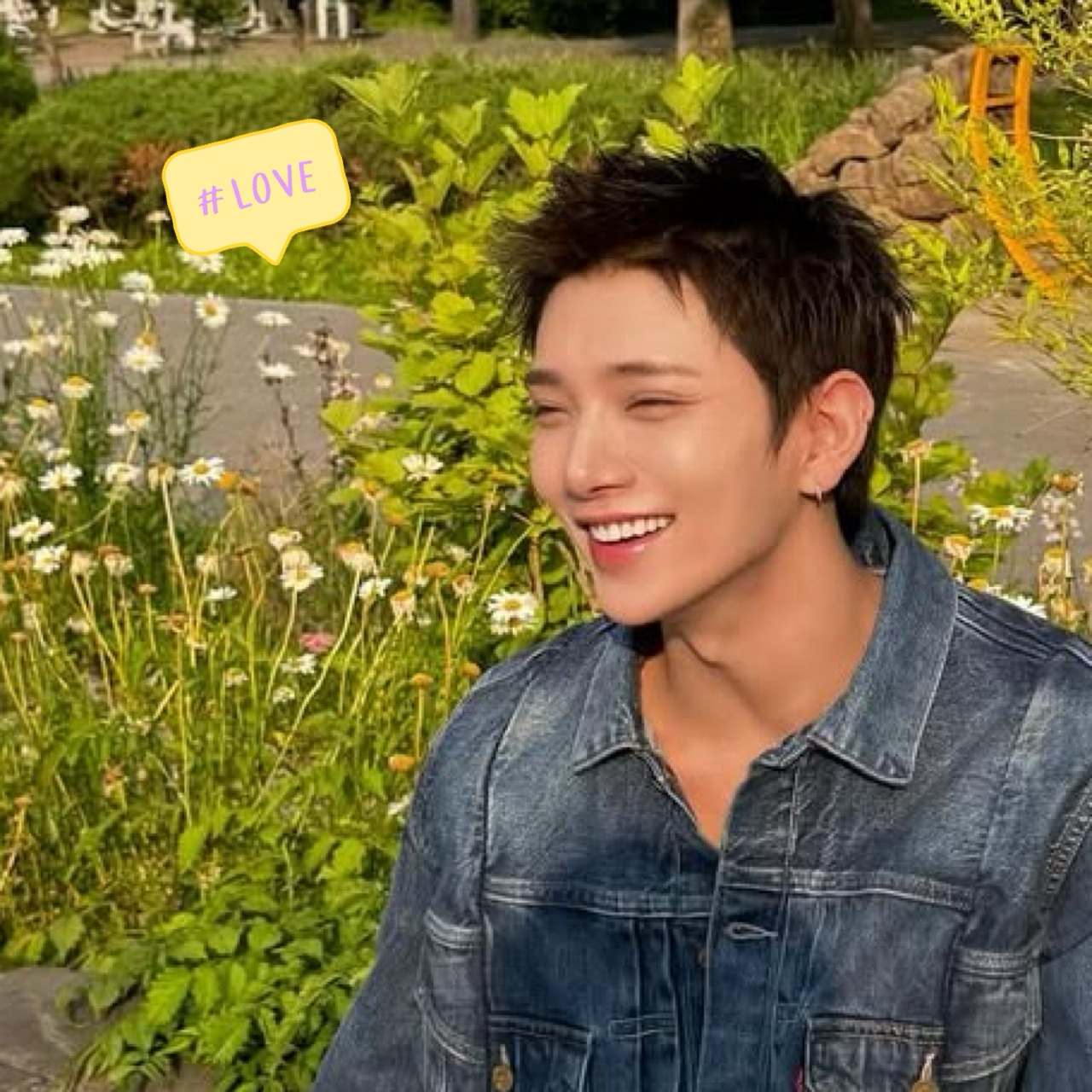 A moment captured by Joshua (SEVENTEEN)'s fan