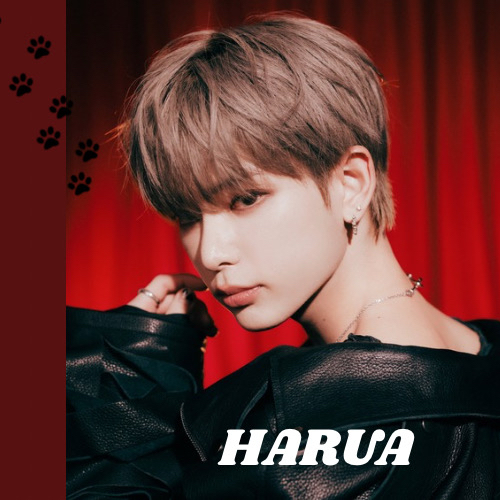 Behind-the-scenes cut of Harua (&TEAM)